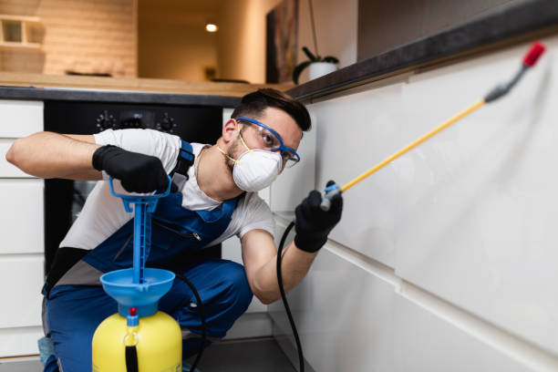 Best Affordable Pest Control Services  in Highland Acres, DE