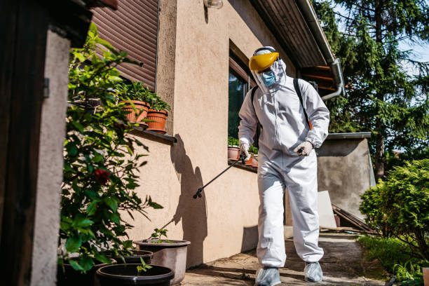Best Termite Control Services  in Highland Acres, DE