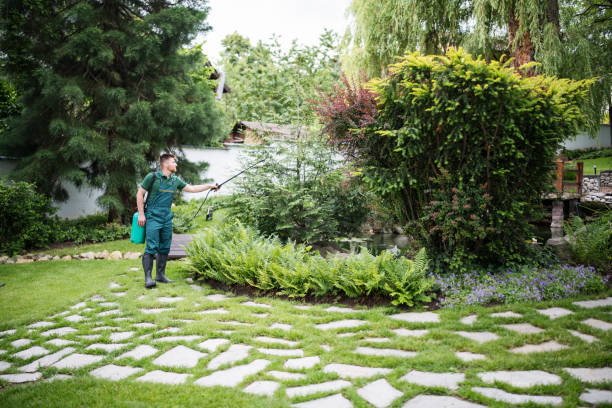 Best Wildlife Control Services  in Highland Acres, DE