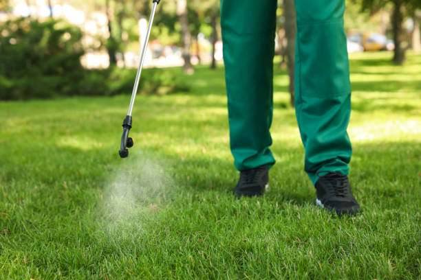 Best Flea Control Services  in Highland Acres, DE
