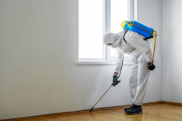 Best Wildlife Control Services  in Highland Acres, DE