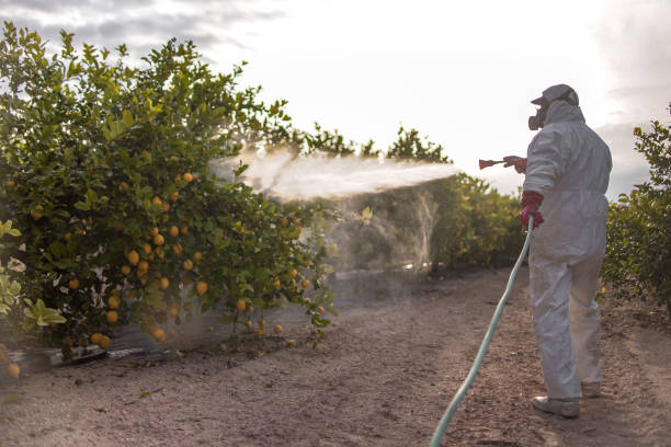 Best Insect Control  in Highland Acres, DE