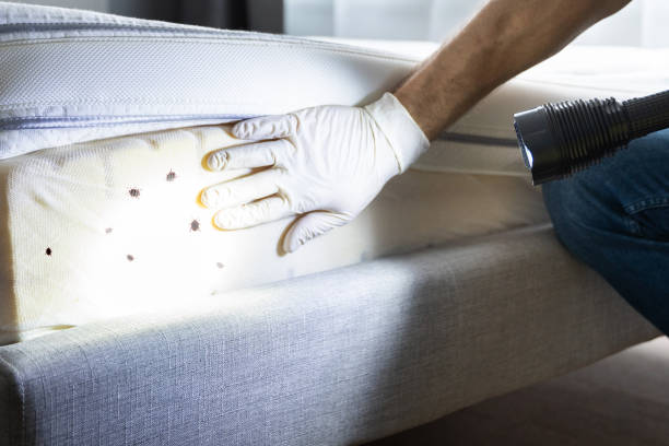 Best Best Pest Control Companies  in Highland Acres, DE