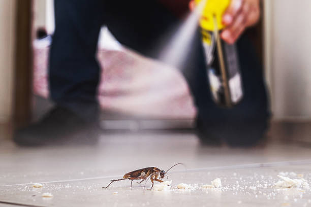 Best Residential Pest Control  in Highland Acres, DE