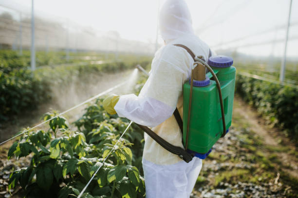 Best Pest Prevention Services  in Highland Acres, DE